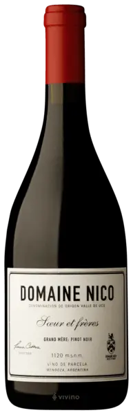 Domaine Nico, Mendoza "Grand Mère pinot noir" - 2022
