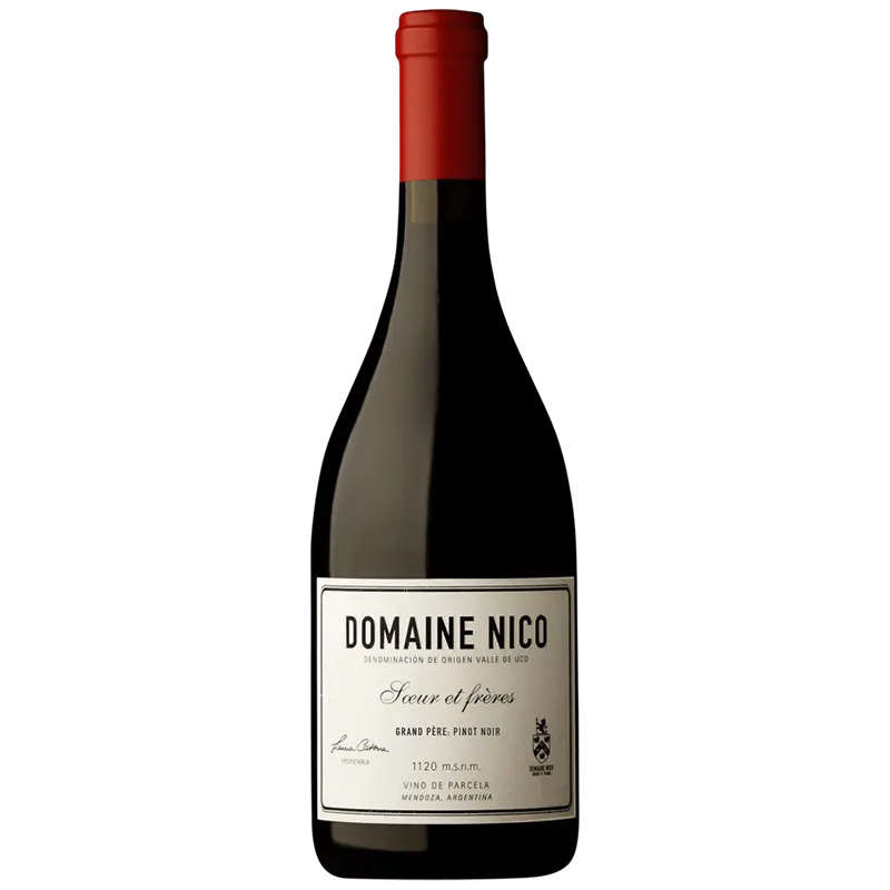 Domaine Nico, Mendoza "Grand Père pinot noir" - 2022