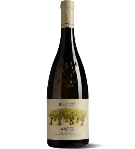 I Custodi delle vigne dell'Etna, Etna Bianco "Ante" - 2021